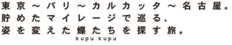 東京～バリ～カルカッタ～名古屋。貯めたマイレージで巡る、姿を変えた蝶(kupu kupu)たちを探す旅。